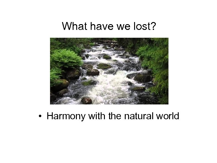 What have we lost? • Harmony with the natural world 