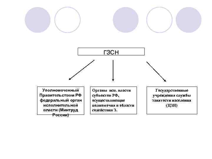 ГЗСН Уполномоченный Правительством РФ федеральный орган исполнительной власти (Минтруд России) Органы исп. власти субъектов