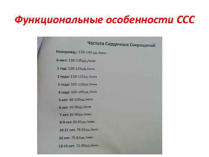 Функциональные особенности ССС 