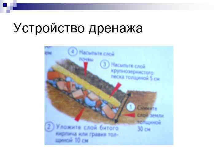 Устройство дренажа 