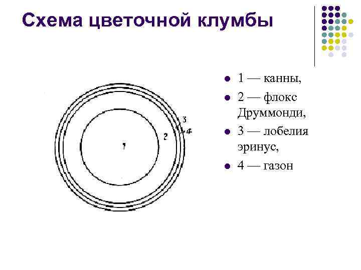 Схема цветочной клумбы l l 1 — канны, 2 — флокс Друммонди, 3 —