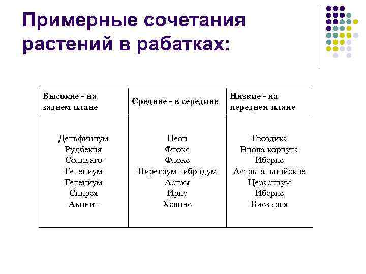 Примерные сочетания растений в рабатках: Высокие - на заднем плане Дельфиниум Рудбекия Солидаго Гелениум