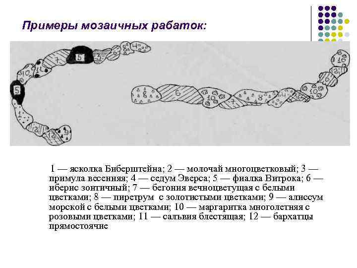 Примеры мозаичных рабаток: 1 — ясколка Биберштейна; 2 — молочай многоцветковый; 3 — примула