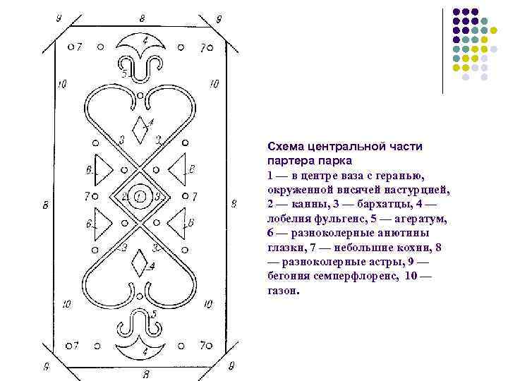 Схема центральной части партера парка 1 — в центре ваза с геранью, окруженной висячей