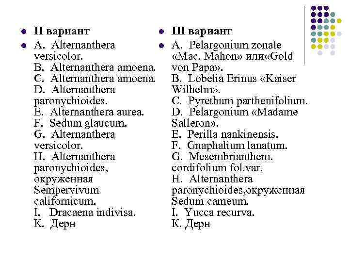 l l II вариант l A. Alternanthera l versicolor. B. Alternanthera amoena. C. Alternanthera