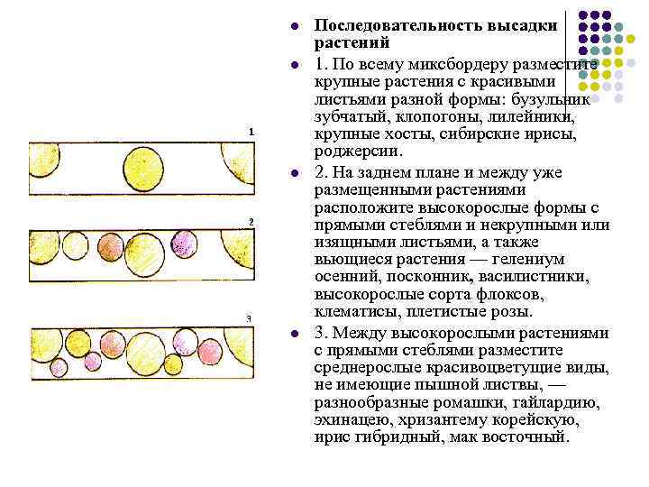 l l Последовательность высадки растений 1. По всему миксбордеру разместите крупные растения с красивыми