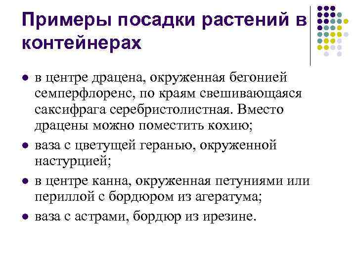 Примеры посадки растений в контейнерах l l в центре драцена, окруженная бегонией семперфлоренс, по