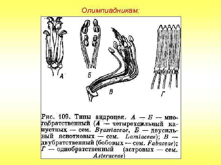 Олимпиадникам: 
