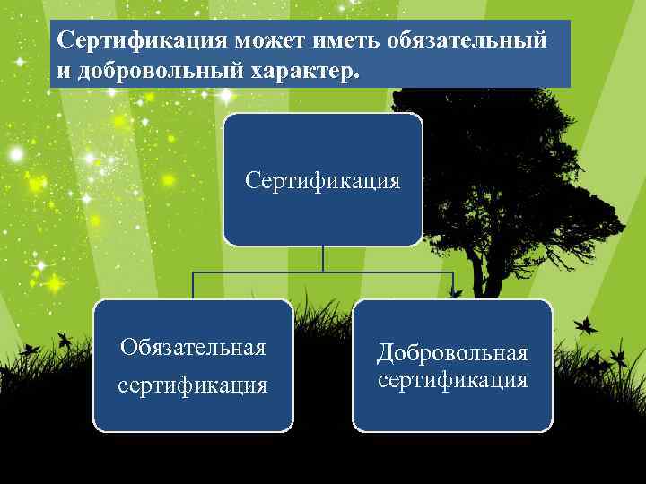 Сертификация может иметь обязательный и добровольный характер. Сертификация Обязательная сертификация Добровольная сертификация 