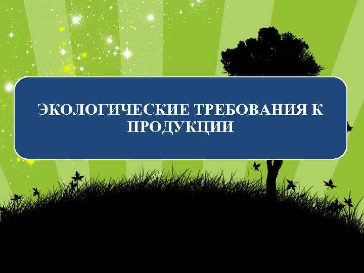 ЭКОЛОГИЧЕСКИЕ ТРЕБОВАНИЯ К ПРОДУКЦИИ 