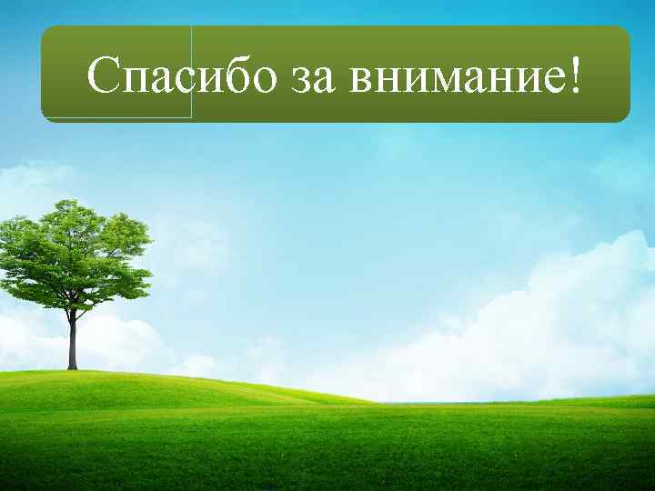 Спасибо за внимание! 