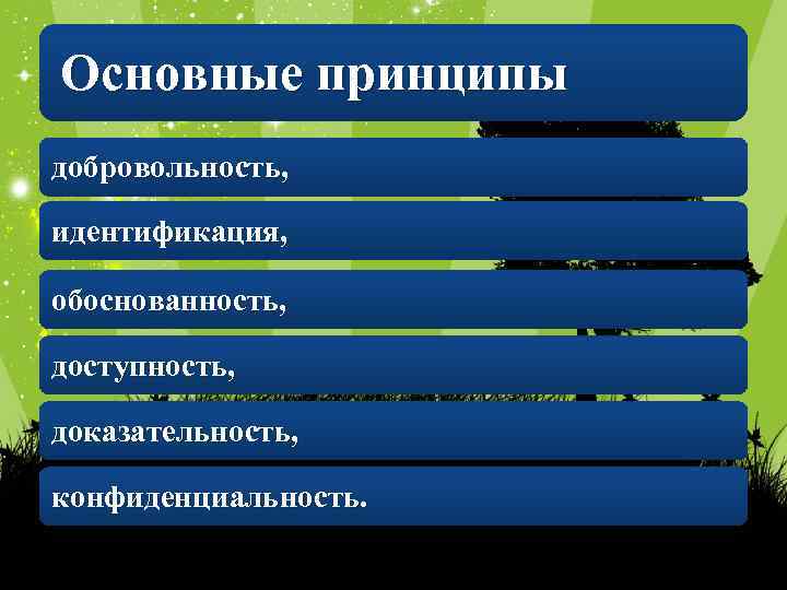 Основные принципы добровольность, идентификация, обоснованность, доступность, доказательность, конфиденциальность. 