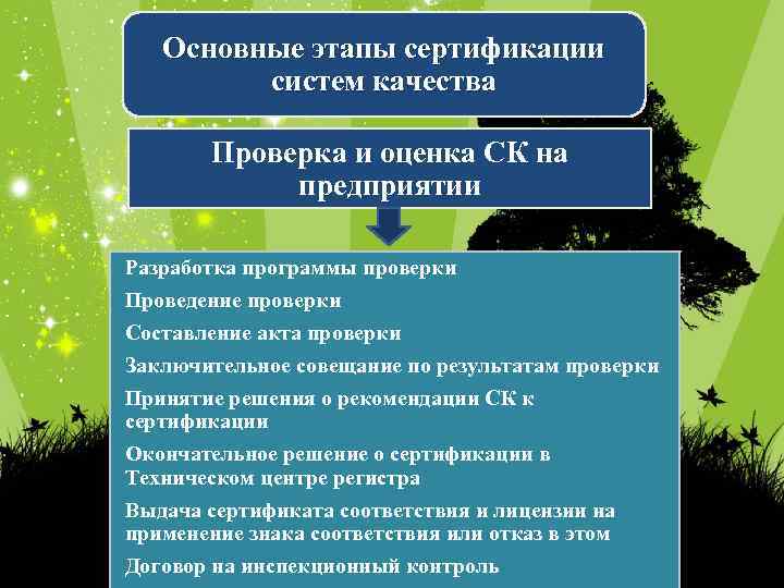 Основные этапы сертификации систем качества Проверка и оценка СК на предприятии Разработка программы проверки