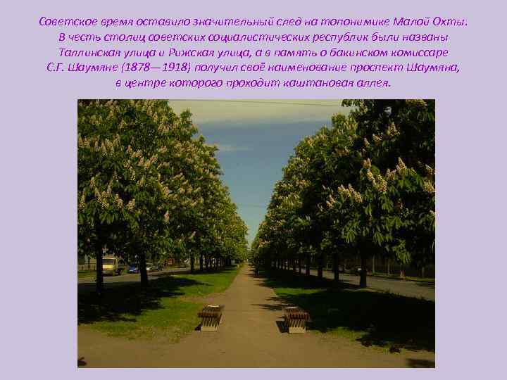 Советское время оставило значительный след на топонимике Малой Охты. В честь столиц советских социалистических