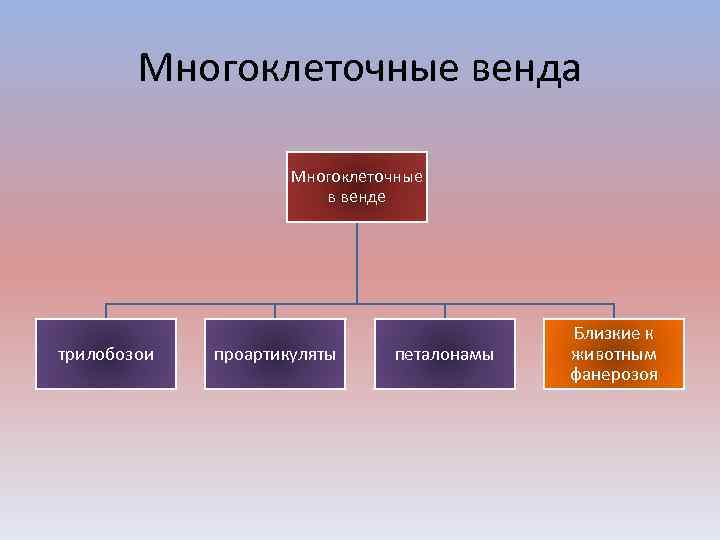 Многоклеточные венда Многоклеточные в венде трилобозои проартикуляты петалонамы Близкие к животным фанерозоя 