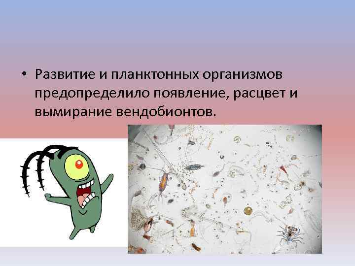  • Развитие и планктонных организмов предопределило появление, расцвет и вымирание вендобионтов. 