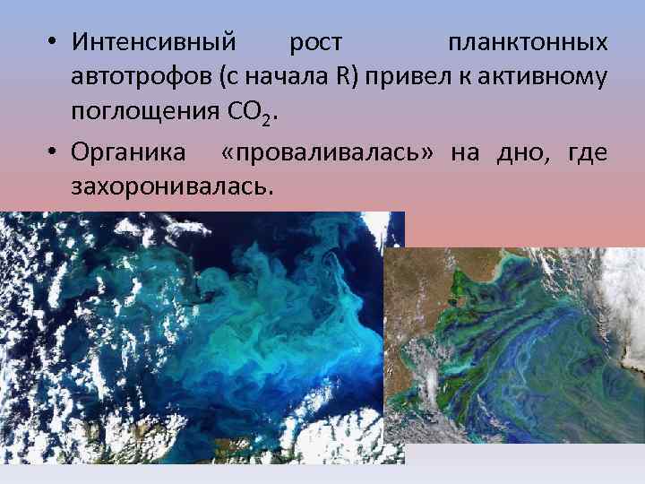  • Интенсивный рост планктонных автотрофов (с начала R) привел к активному поглощения CO