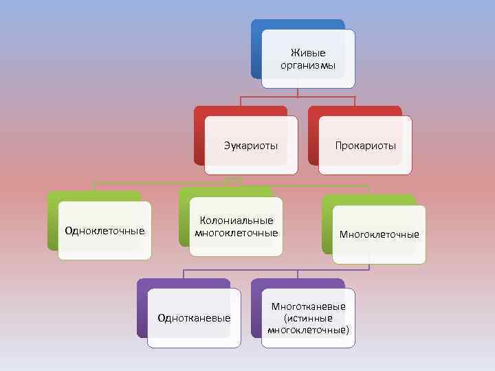 Живые организмы Эукариоты Одноклеточные Колониальные многоклеточные Однотканевые Прокариоты Многоклеточные Многотканевые (истинные многоклеточные) 