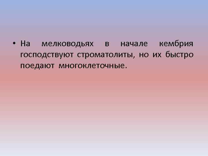  • На мелководьях в начале кембрия господствуют строматолиты, но их быстро поедают многоклеточные.