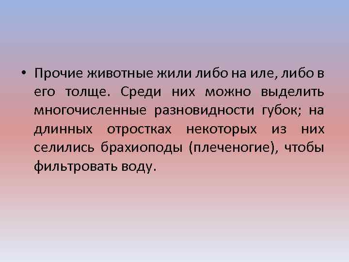  • Прочие животные жили либо на иле, либо в его толще. Среди них