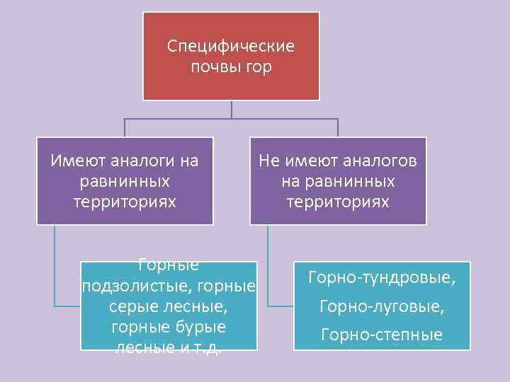 Специфические почвы гор Имеют аналоги на равнинных территориях Горные подзолистые, горные серые лесные, горные