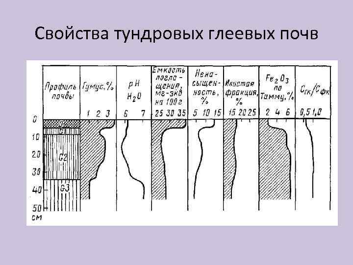 Свойства тундровых глеевых почв 