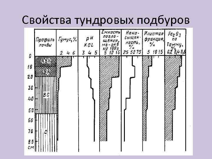 Свойства тундровых подбуров 