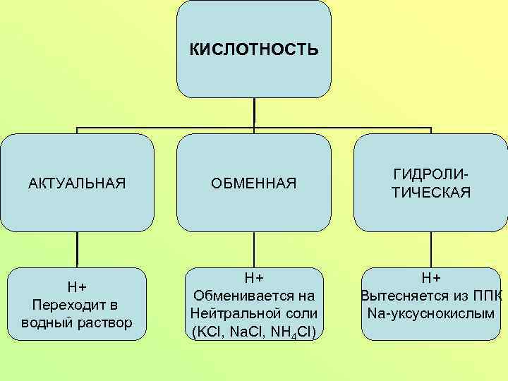 КИСЛОТНОСТЬ АКТУАЛЬНАЯ ОБМЕННАЯ H+ Переходит в водный раствор H+ Обменивается на Нейтральной соли (KCl,