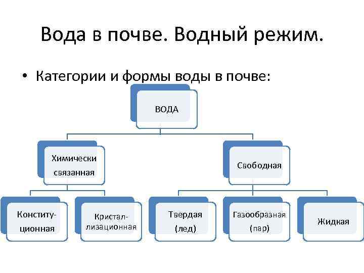 Вода в почве. Формы воды в почве. Категории и формы воды в почве. Виды почвенной воды. Категории почвенной воды.