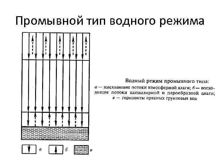 Типы водного режима. Промывной Тип водного режима почв. Промывной Тип водного режима характеризуется:. Типы водного режима почв схема. Периодически промывной Тип водного режима.