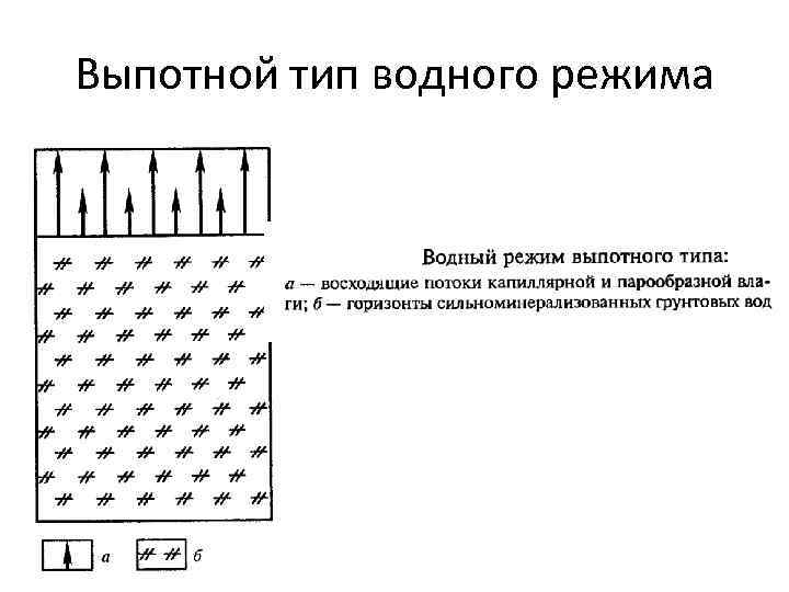 Типы водного режима. Выпотной Тип водного режима почв. Выпотной режим почв это. Промывной Тип водного режима формируется. Промывной Тип водного режима почв.