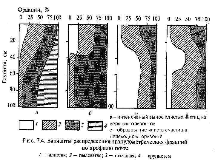 Верхний горизонт. Илистая фракция почвы. Распределение механических элементов по профилю почвы <. Илистая часть почв по профилю. Свойства илистых фракции почвы-.