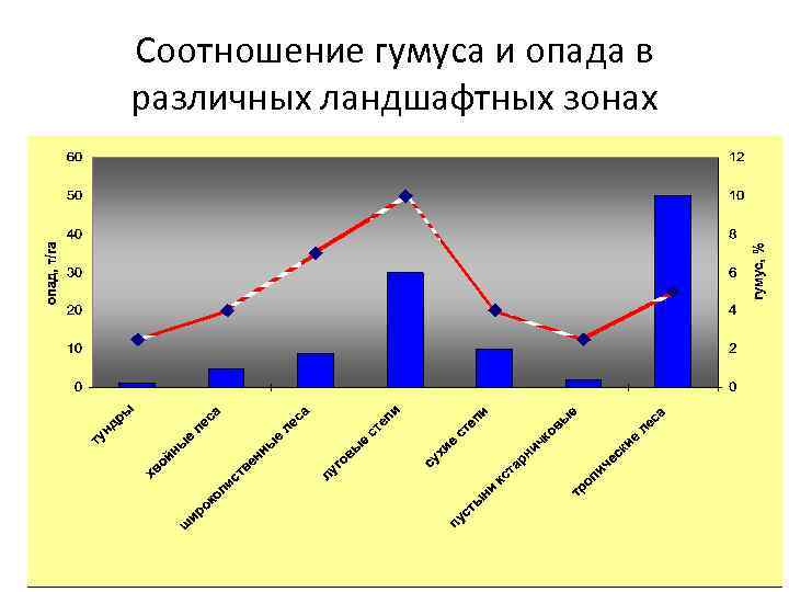 Соотношение гумуса и опада в различных ландшафтных зонах 