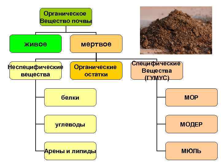 Характеристика почвы 5 класс