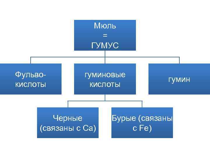 Мюль = ГУМУС Фульвокислоты гуминовые кислоты Черные (связаны с Ca) гумин Бурые (связаны с