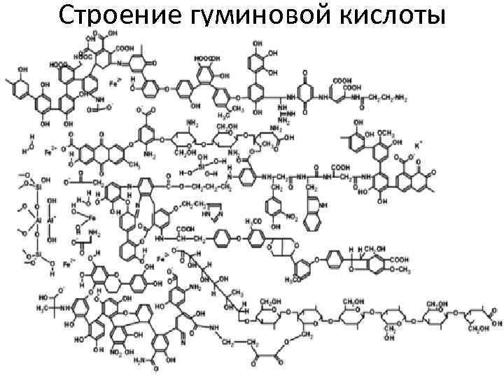 Строение гуминовой кислоты 
