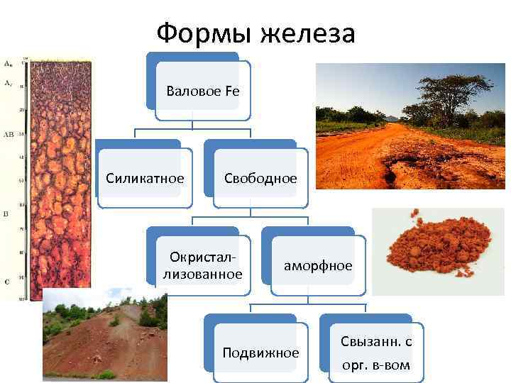 Формы железа Валовое Fe Силикатное Свободное Окристаллизованное аморфное Подвижное Свызанн. с орг. в-вом 