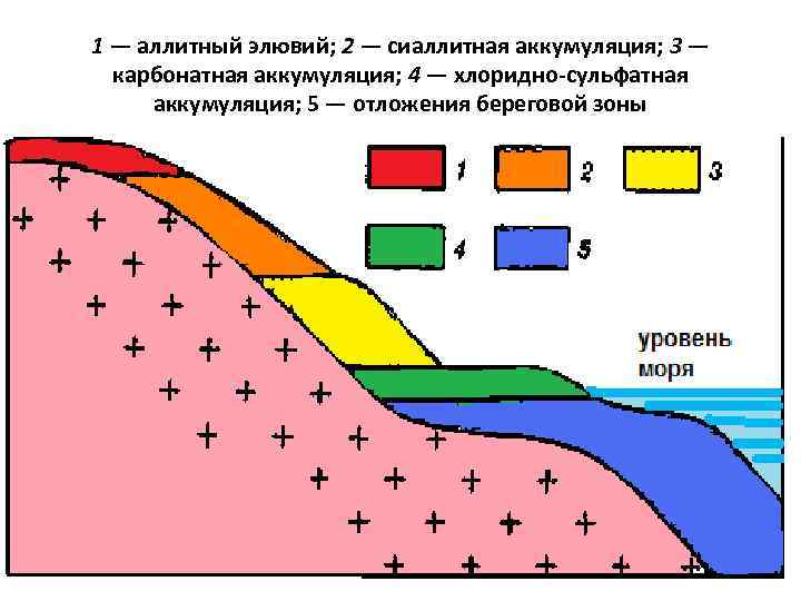 1 — аллитный элювий; 2 — сиаллитная аккумуляция; 3 — карбонатная аккумуляция; 4 —