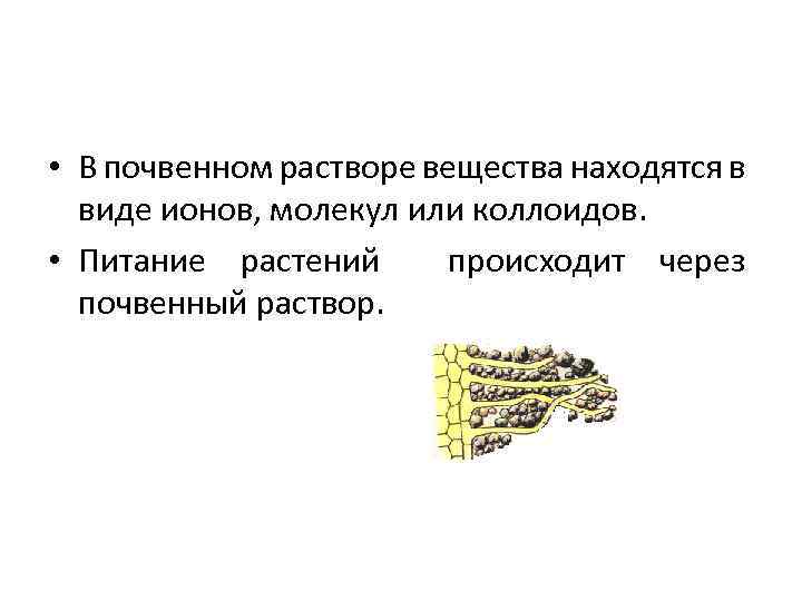  • В почвенном растворе вещества находятся в виде ионов, молекул или коллоидов. •