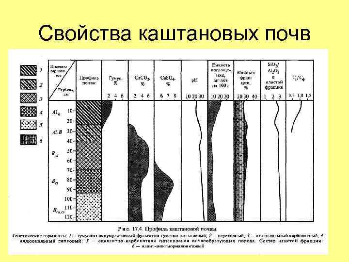 Свойства каштановых почв 