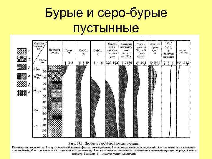 Бурые и серо-бурые пустынные 