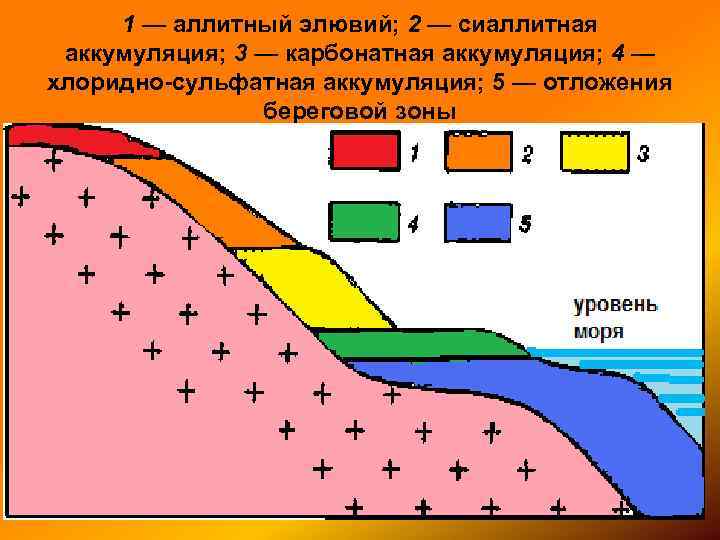 1 — аллитный элювий; 2 — сиаллитная аккумуляция; 3 — карбонатная аккумуляция; 4 —