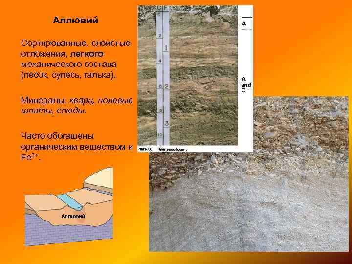 Аллювий Сортированные, слоистые отложения, легкого механического состава (песок, супесь, галька). Минералы: кварц, полевые шпаты,