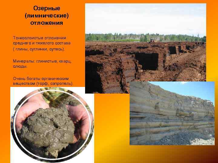 Озерные (лимнические) отложения Тонкослоистые отложения среднего и тяжелого состава ( глины, суглинки, супесь). Минералы: