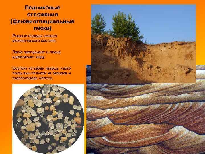 Ледниковые отложения (флювиогляциальные пески) Рыхлые породы легкого механического состава. Легко пропускают и плохо удерживают