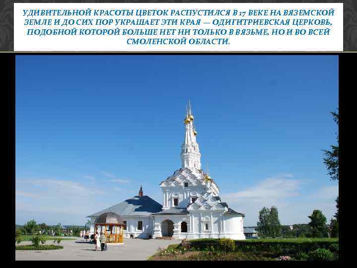 УДИВИТЕЛЬНОЙ КРАСОТЫ ЦВЕТОК РАСПУСТИЛСЯ В 17 ВЕКЕ НА ВЯЗЕМСКОЙ ЗЕМЛЕ И ДО СИХ ПОР