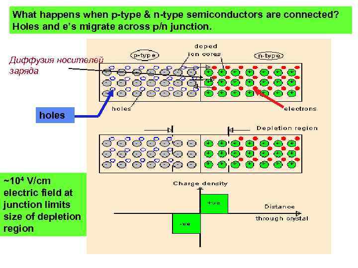 What happens when p-type & n-type semiconductors are connected? Holes and e’s migrate across