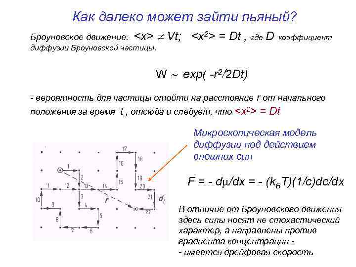 Как далеко может зайти пьяный? Броуновское движение: <x> Vt; <x 2> = Dt ,