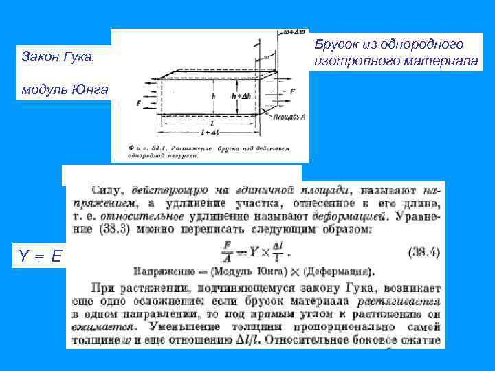 Закон Гука, модуль Юнга Y E Брусок из однородного изотропного материала 