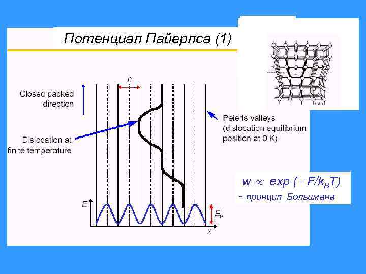 Потенциал Пайерлса (1) w exp ( F/k. BT) - принцип Больцмана 